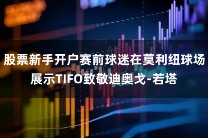 股票新手开户赛前球迷在莫利纽球场展示TIFO致敬迪奥戈-若塔